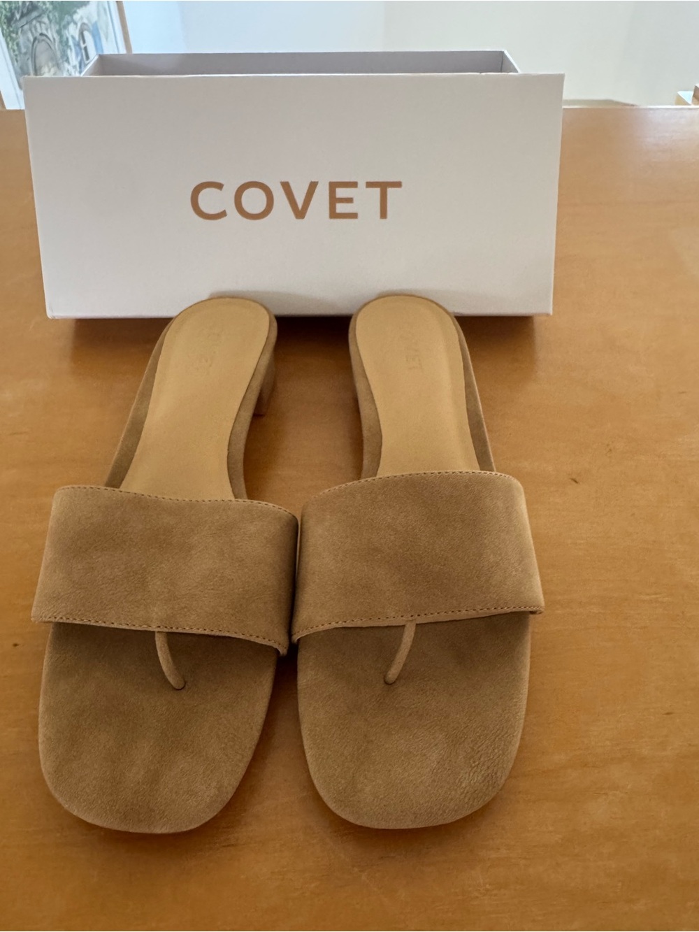 Cove Suede Tan Slide Sandals with Toe-Post